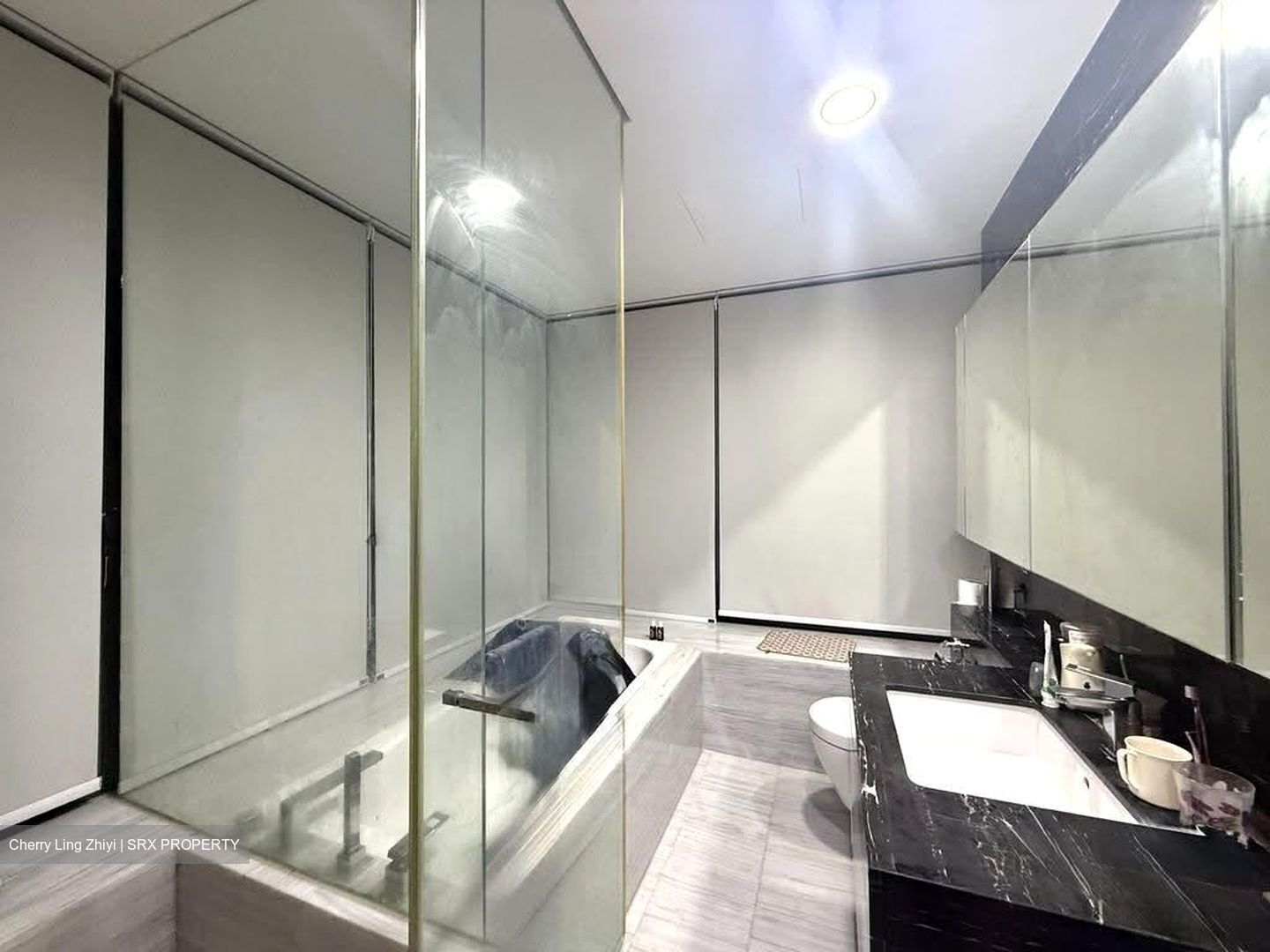 8 Saint Thomas (D9), Condominium #624580721